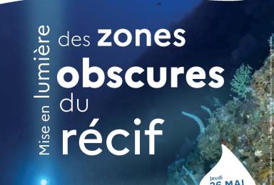 Affiche du 2ème rendez-vous du Parc marin : Les récifs mésophotiques