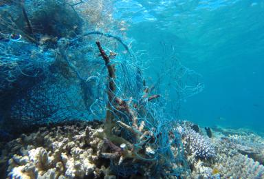 Un filet de pêche échoué sur le récif de corail.