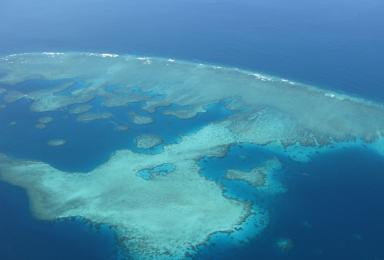Vue aérienne du récif de la barrière de corail.